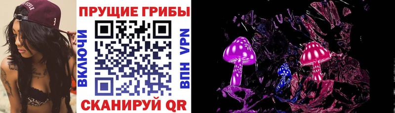 hydra ССЫЛКА Тотьма Галлюциногенные грибы GOLDEN TEACHER