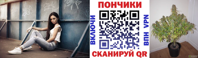 Каннабис Bruce Banner  ссылка на мегу   Тотьма 